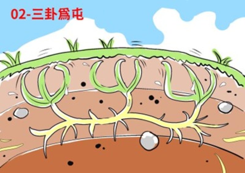 【薄教授命理週記】「日與時」及「月與時 」之應用生肖與數字、五行之關聯