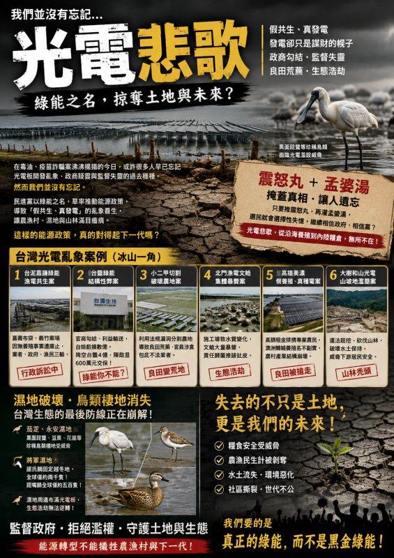 關於光電悲歌 我們並沒有忘記