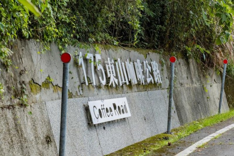 《魚頭君帶路》走進咖啡香　尋訪臺南人文日常