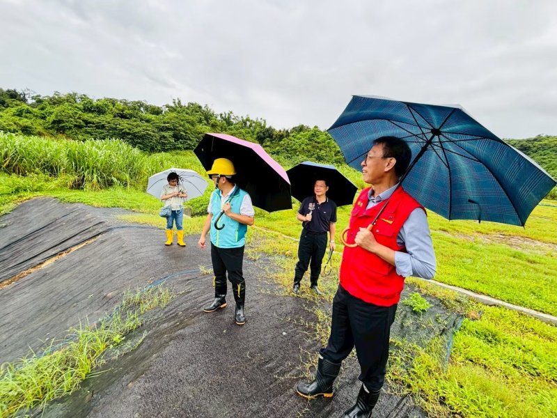 大樹山光電案　市府：監督標準從未改變　駁「豬羊變色」
