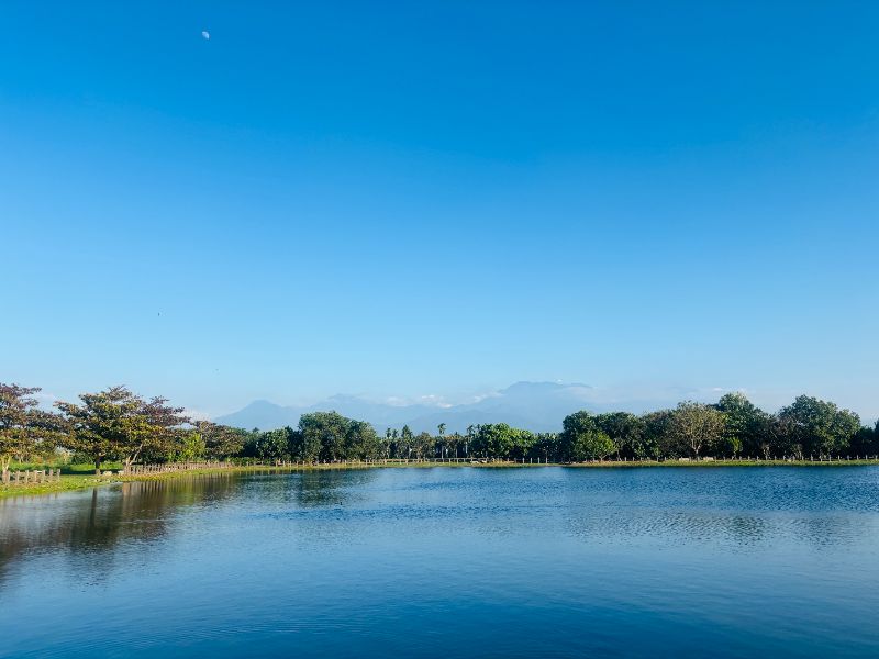 從「暗夜守護者」草鴞 看見國土綠網 屏東率先打造海豐濕地