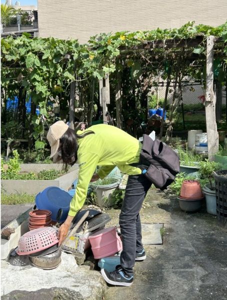 高溫午後降雨陽性容器率攀升　衛生局嚴查高風險場域揪國營事業孳生病媒蚊多項缺失