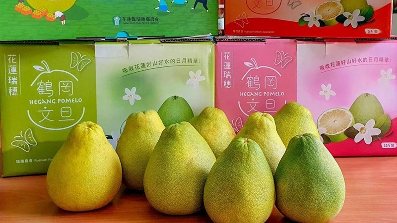 大陸國台辦：自恢復輸入臺灣文旦柚以來 已有多批次文旦柚銷往大陸