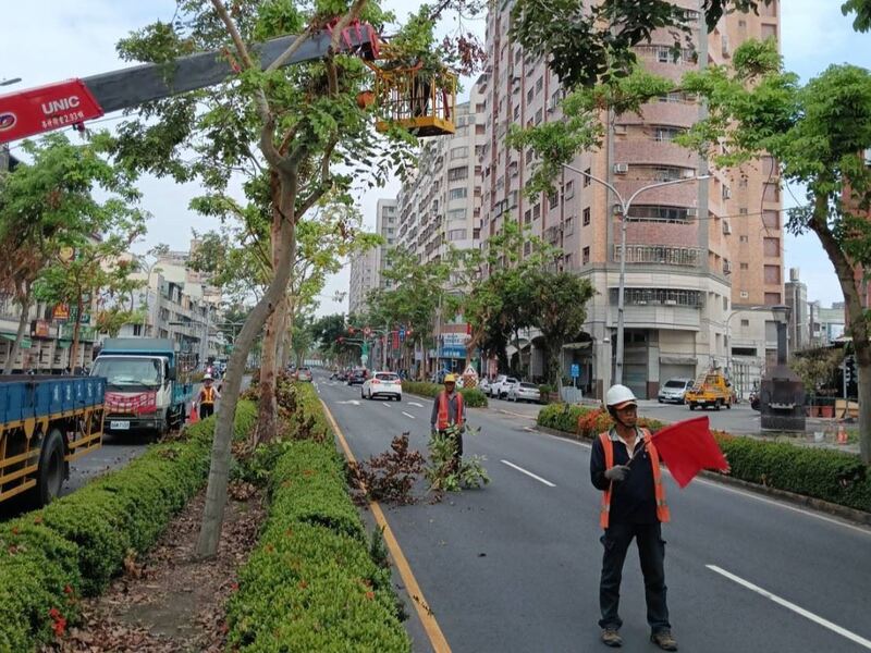  颱風來襲！高市公園處強化護樹防颱準備